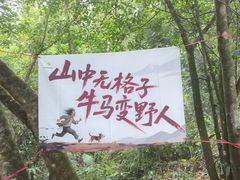 -广州白江湖森林公园