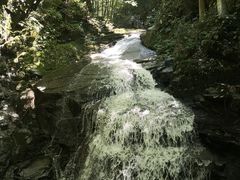 -藏龙百瀑风景区