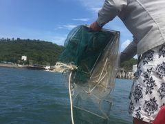 -红树林天天赶海