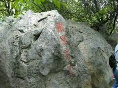 android_upload_pic-陈行公园