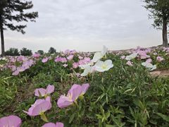 -汉长安城未央宫国家考古遗址公园