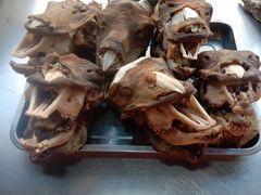 -马克力木手抓炕锅烤羊肉(盐湖一小区店)