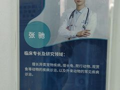 -北京观赏动物医院·24小时大型综合·猫专科·异宠专科