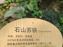 -国家植物园南园