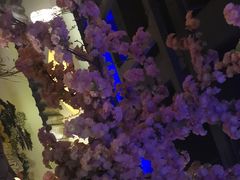 -淀里船宴(裕华东路店)