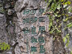 -西安曲江寒窑遗址公园