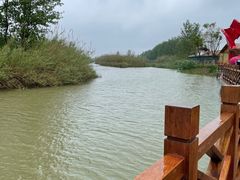 -泗洪洪泽湖湿地景区