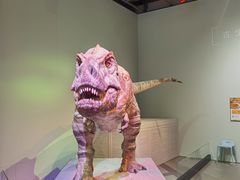 -香港科学馆