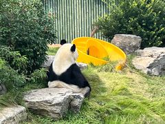 -一绪に寿喜烧自助(世茂广场店)