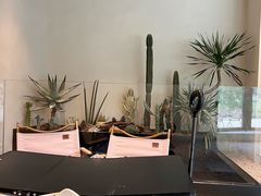 -J Create城市露营咖啡·简餐·宠物(上海动物园店)