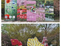 -花开海上生态园