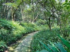 -杭州植物园