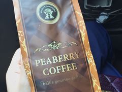 -巴厘岛黄金金兔咖啡工厂