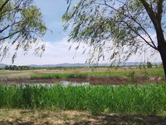 -野鸭湖国家湿地公园