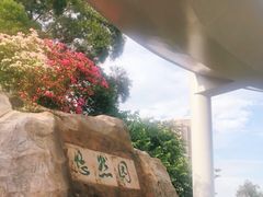 -仙岳公园