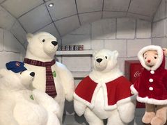 -济州岛泰迪熊博物馆