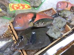 -海鮮寿司とれとれ市場
