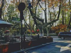 -也枫·小黄楼(南山路旗舰店)