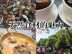 -龙井壹号·茶缘山景宴(龙井村店)