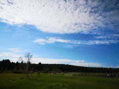 -塞罕坝国家级自然保护区