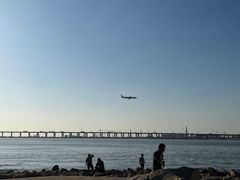 -宝安西湾红树林湿地公园