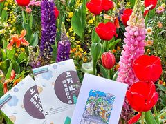 -苏州上方山国家森林公园