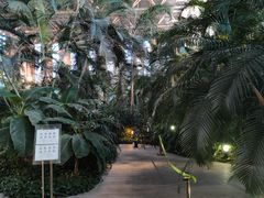 -中家鑫园温泉酒店鑫悦汤泉