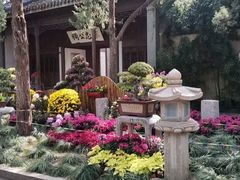 -惠山古镇·寄畅园