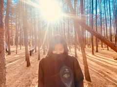 -北极村旅游风景区