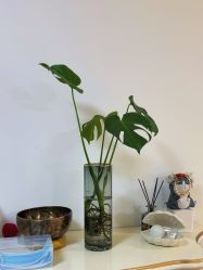 -美肤盾祛痘·问题肌管理中心