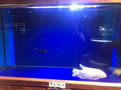 -唱吧麦颂KTV(黄骅华贸商业广场店)