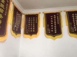 -程氏苗堂苗技养生