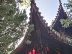 -秋霞圃