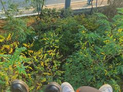 -富斯特索道