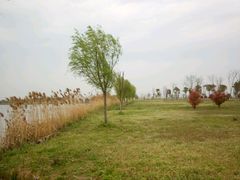 -南湖湿地公园