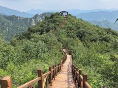-大岭沟猕猴桃谷风景区