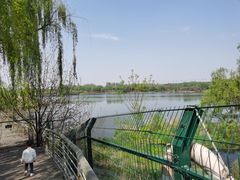 -西安浐灞国家湿地公园