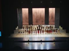 -合肥大剧院