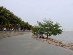 -深圳湾公园(南山区)
