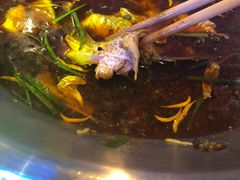 -红牌美蛙鱼头火锅(万辉国际广场店)