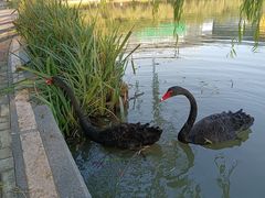 -金桥现代产业园区-停车场