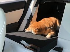 -TESLA 特斯拉(上海太古汇体验店)