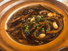 -扬州狮子楼·非遗淮扬菜(东关街店)