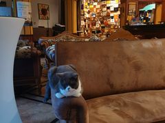 -雪茄客PURAVIDA俱乐部(上海店)