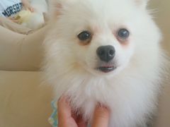 -怪兽屋·羊驼·猫咖·狗咖(俊华广场店)