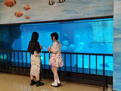 -乐从天佑城海洋馆