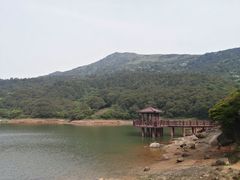 -大姆山草场
