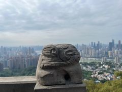 -南山植物园