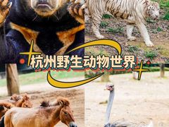 -杭州野生动物世界