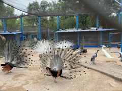 -森林公园(尖草坪区)